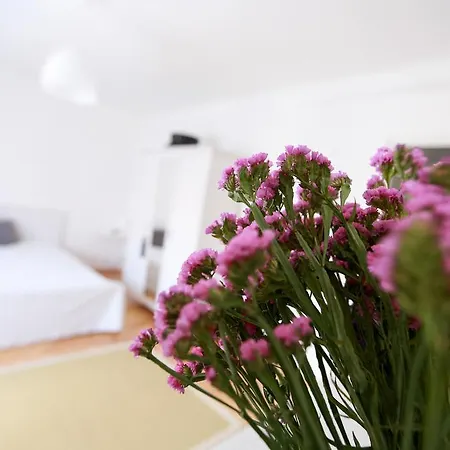 Guest house Golya